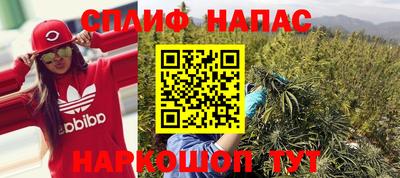 ешки Жуковский