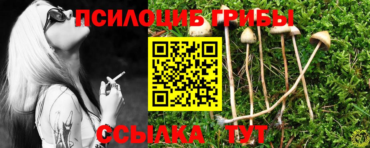 Галлюциногенные грибы Magic Shrooms  Вход с VPN  Галлюциногенные грибы мухоморы  Мыски 